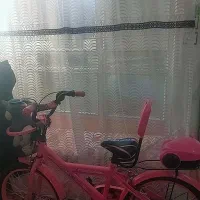 دوچرخه ۲۰ دخترانه صورتی