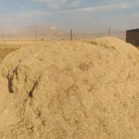 فروش کاه نیشکر
