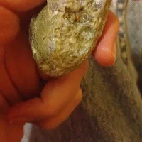 باستانی|کلکسیون اشیاء عتیقه|قزوین, |دیوار