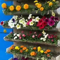 اجاره ویلا باغ برا جشن تولد و مراسم عقد