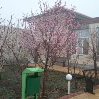 باغ ویلا|فروش خانه و ویلا|گلمکان, |دیوار