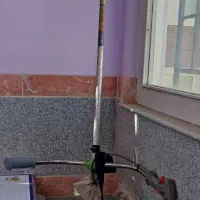 علف زن دوزمانه