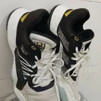 کفش های والیبال و بسکتبال سایز بزرگ اورجینال|کیف، کفش، کمربند|یزد, |دیوار