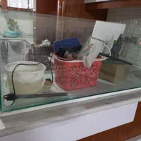 آکواریوم