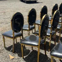 صندلی تالار حامی