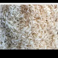 پیش فروش برنج