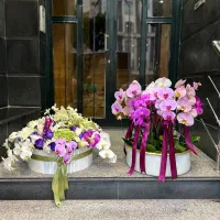 گل و گل ارایی|خدمات پذیرایی، مراسم|تهران, قیطریه|دیوار