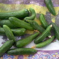خیارشور با قیمت عالی