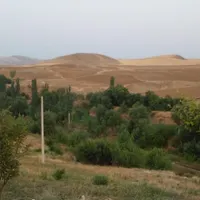 غاز محلی|حیوانات مزرعه|اردبیل, |دیوار