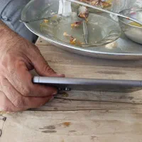 s23 f|موبایل|قم, باجک سه|دیوار