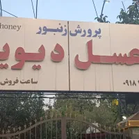 بازاریاب تلفنی