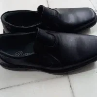 کفش پاما مردانه سایز ۴۳|کیف، کفش، کمربند|هشتگرد, شهرک ایران خودرو|دیوار