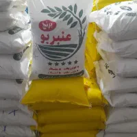 برنج عنبر بو بار نو امسالی،بشرط پخت اعلادرجه یک