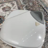 سبزی خشک کن لیمون