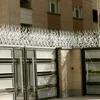 حفاظ شاخ گوزنی / با ارسال رایگان.نقدی و اقساطی|خدمات پیشه و مهارت|تهران, هفت حوض|دیوار