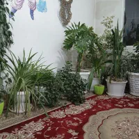 فروش گل طبیعی