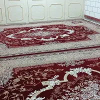 فرش 12متری|فرش|شوشتر, |دیوار