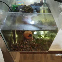 آکواریوم 80 لیتری شیشه خم شرکتی