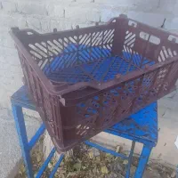 فروش سبد میوه