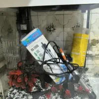 اکواریوم|ماهی|تهران, افسریه شمالی|دیوار