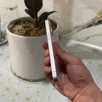 13normal *فروش فوری*|موبایل|بیرجند, |دیوار