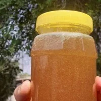 عسل گشنیز. کیلویی 550