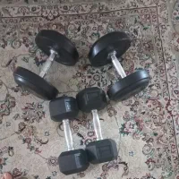 دمبل ۶ ضلعی|تجهیزات ورزشی|بابل, |دیوار