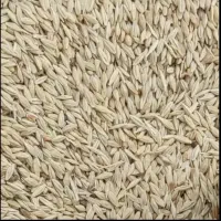 جو ابی درجه یک