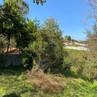 مسکونی در لفور|فروش زمین و ملک کلنگی|آلاشت, |دیوار