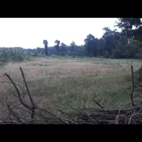 زمین در روستایی سنگستان|فروش زمین و ملک کلنگی|آزادشهر, |دیوار