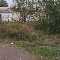 زمین ۱۳۲متری دوبر چند قدمی دریا