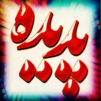 قالیشویی تمام اتوماتیک  پدیده دورود