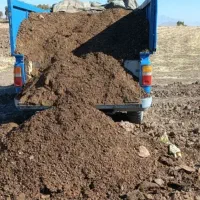 کودحیوانی