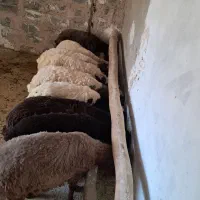 منزل-مسکونی-کارزان-روستای-جوبدراز-میرزابیگی