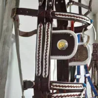 اساس کالسکه درشکه|اسب و تجهیزات اسب‌سواری|ری, بازار آهن|دیوار