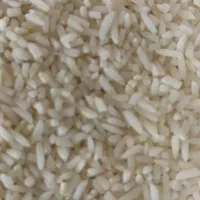 برنج لاشه هاشمی امسال