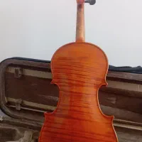 ویولن حرفه ای tf 800