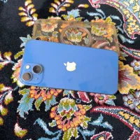 iPhone 13 normal