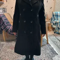 پالتو استر دارشده