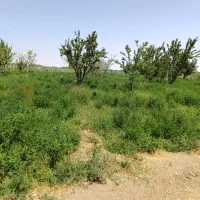 باغ و باغچه روستای حصار حاجیلار ( کشتیبان)|فروش خانه و ویلا|ارومیه, |دیوار