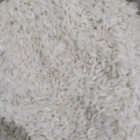 برنج کاظمی معطر بروجرد