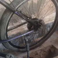 دوچرخه ویوا|دوچرخه، اسکیت، اسکوتر|زالیان, |دیوار