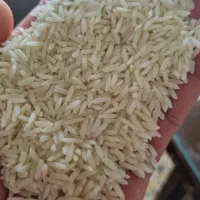 برنج هاشمی|خوردنی و آشامیدنی|هشتگرد, هشتگرد قدیم|دیوار