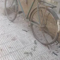 دوچرخه