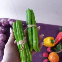 میوه مصنوعی خارجی|گل مصنوعی|کرج, گلشهر|دیوار