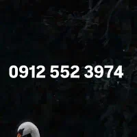 0912.552.3974 سیمکارت خط 0912