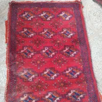 ب دلیل مهاجرت|فرش|هشتگرد, سیف آباد|دیوار