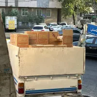 وانت نیسان پادرا پلاس ۱۴۰۱|خودرو سواری و وانت|تهران, هاشم‌آباد|دیوار