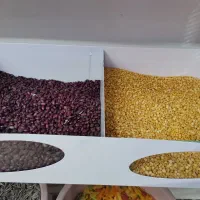 ذرت پفیلا درجه یک|خوردنی و آشامیدنی|کوهدشت, |دیوار