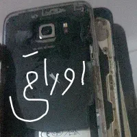 گوشی اوراقی دانه ای و همه باهم